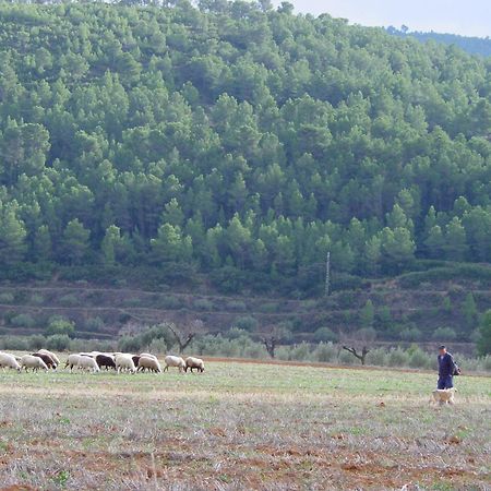 La Bodega Enoturismo Rural Mogente エクステリア 写真