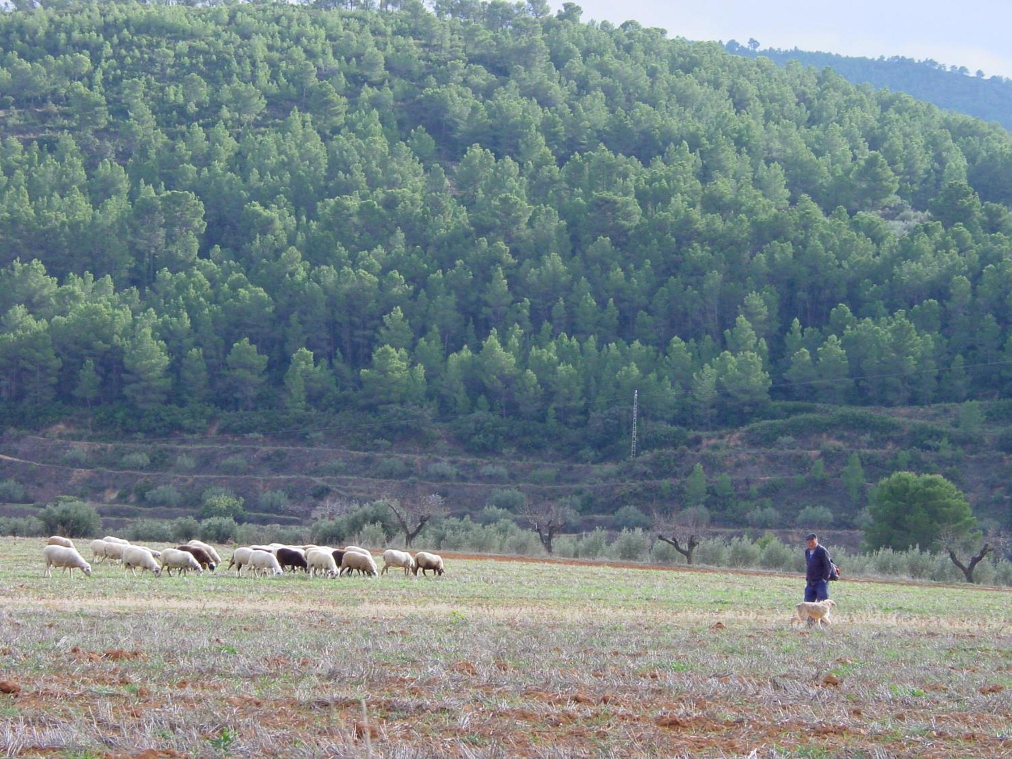 La Bodega Enoturismo Rural Mogente エクステリア 写真